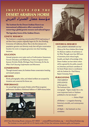 Image of Institute for the Desert Arabian Horse Ad